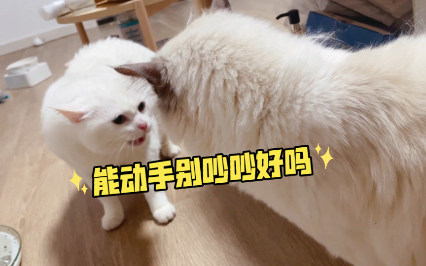 能动手就别吵吵好吗