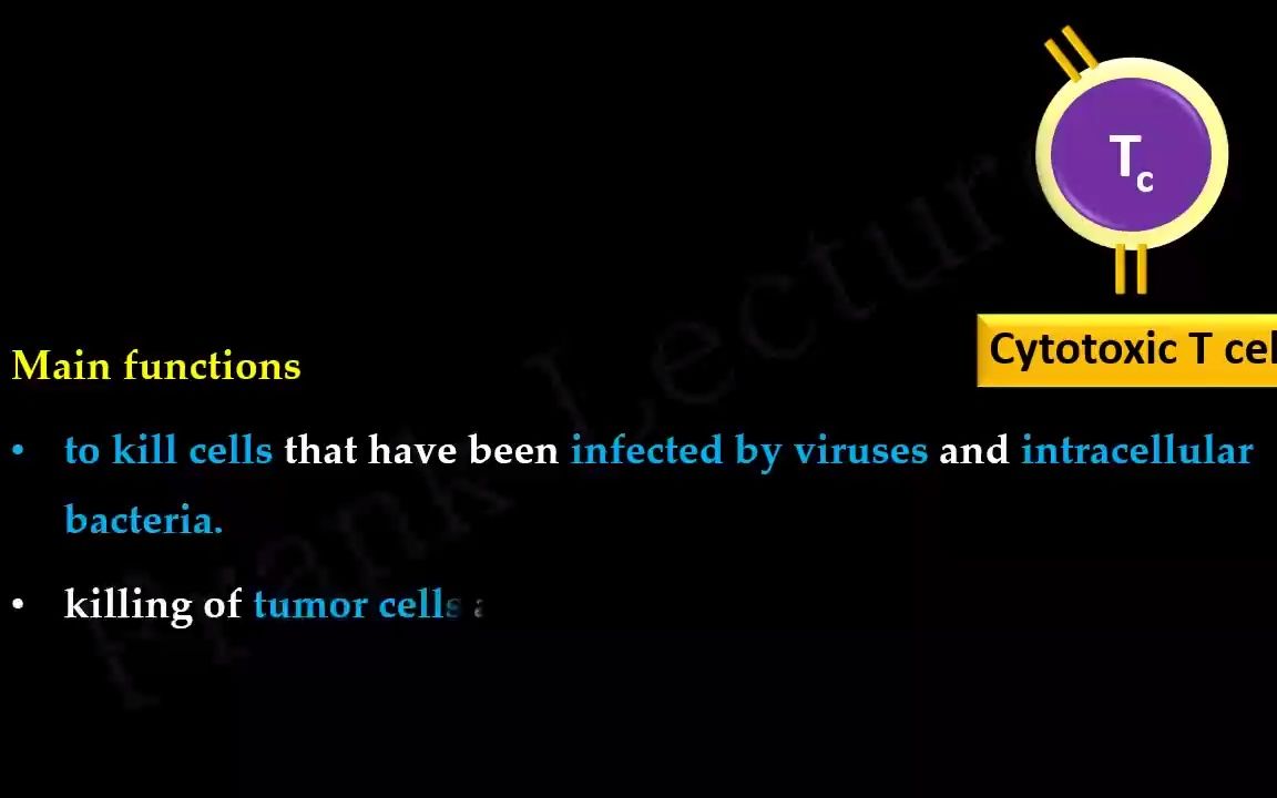 免疫学细胞毒性T细胞 or 杀伤性T细胞 Cytotoxic T (Tc) cells or Killer T cells哔哩哔哩bilibili