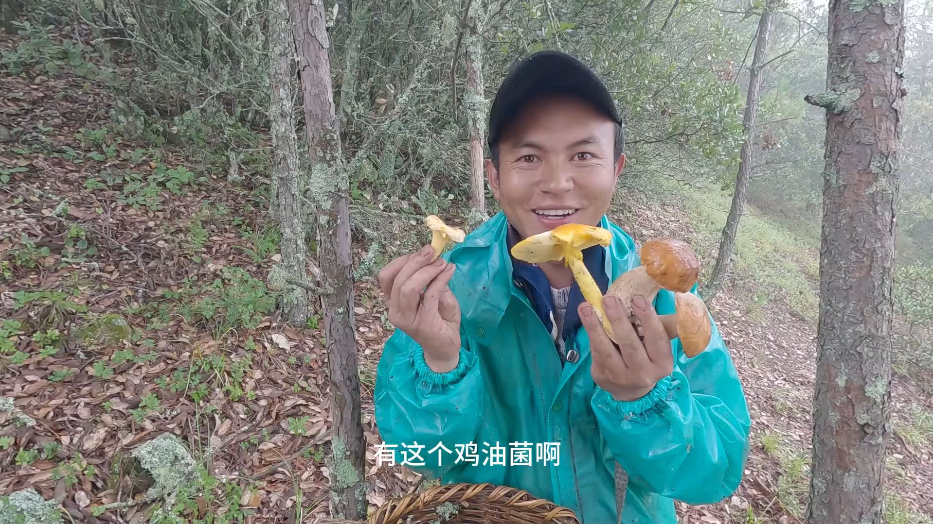 高山采野生菌,红色盖头的美味牛肝菌太漂亮了!哔哩哔哩bilibili