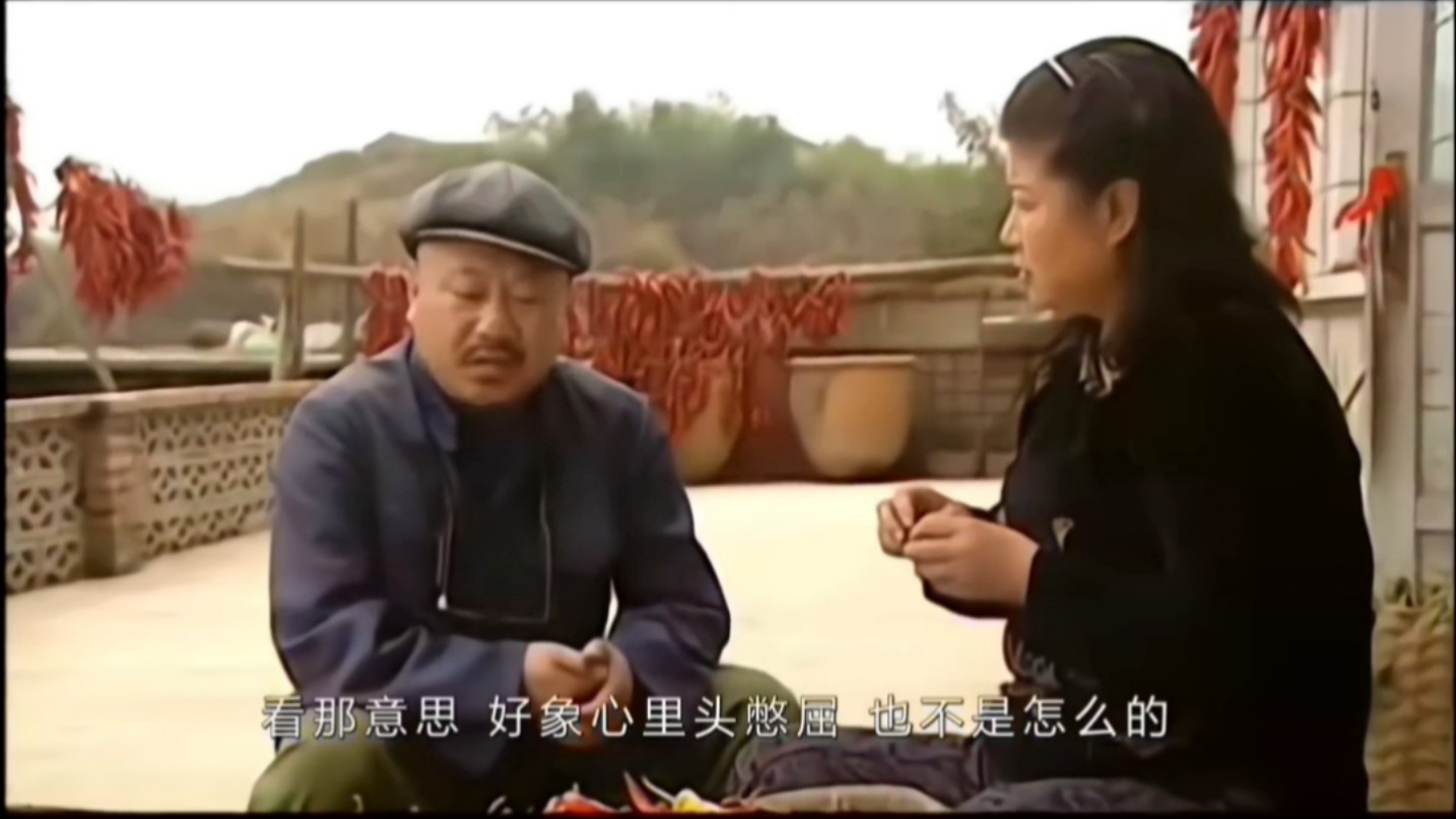 【刘老根1】大辣椒 药匣子cp部分合集