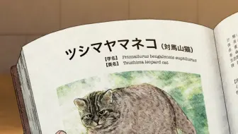 叫我对大哥第一集 哔哩哔哩 Bilibili