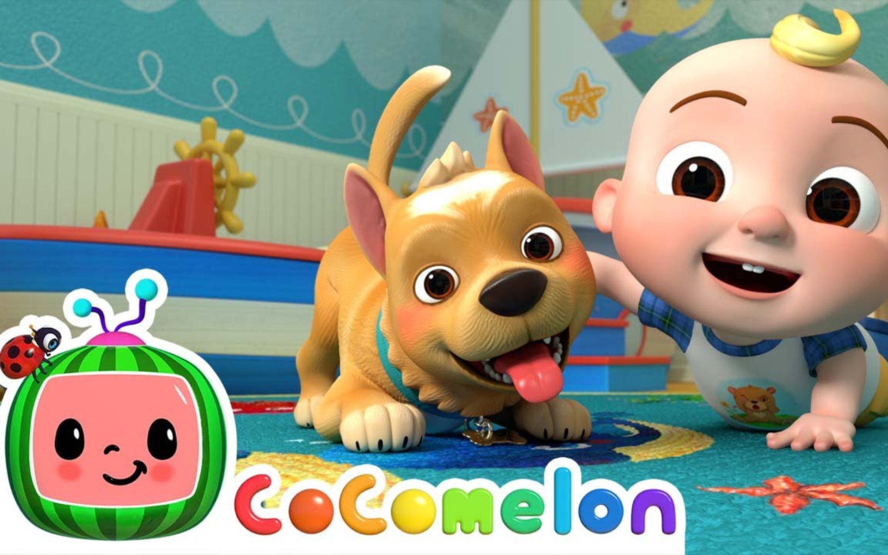 【cocomelon童谣&儿歌】pet care song