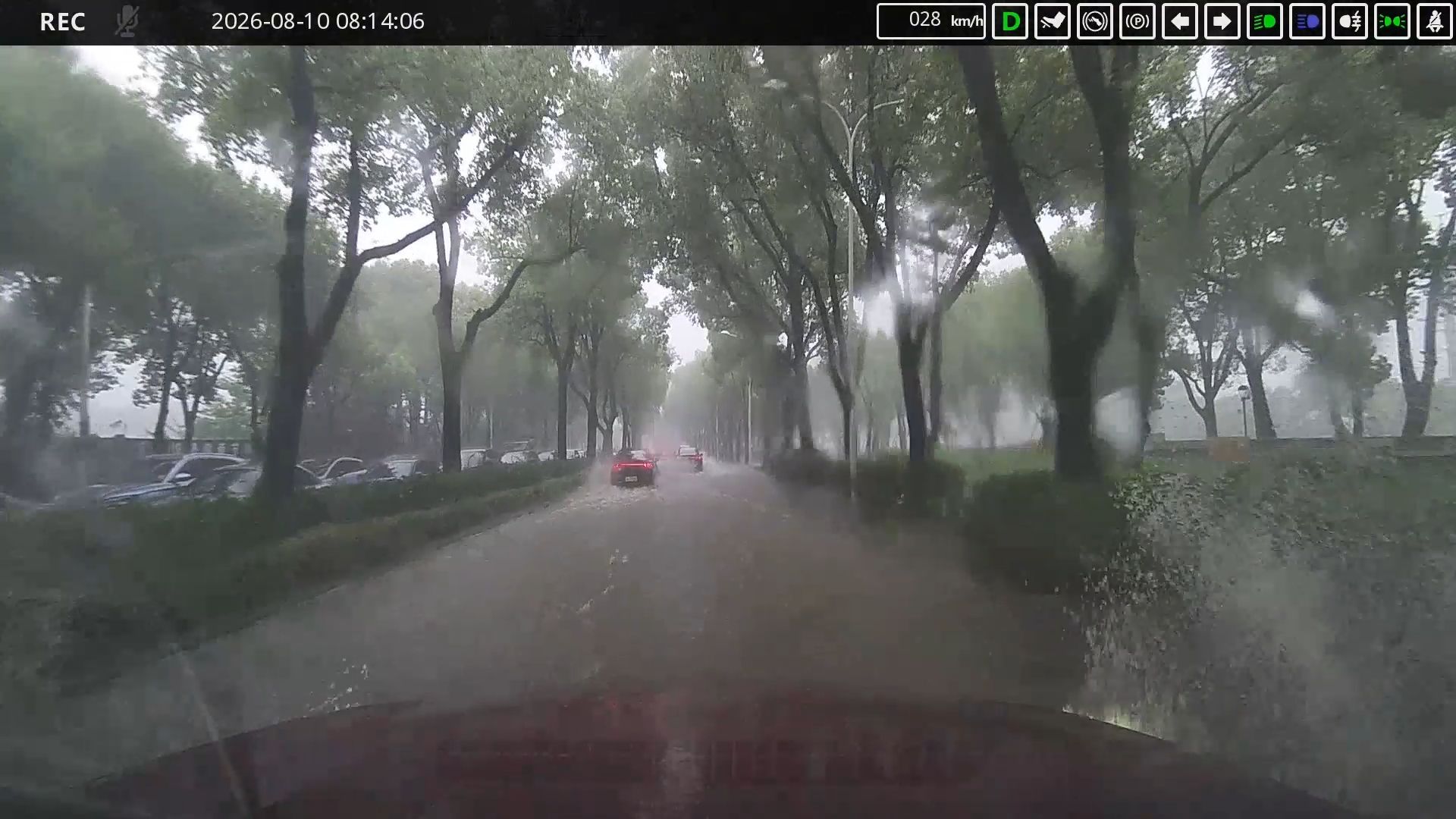 8月10日无锡，顶着白海豚冒雨上班