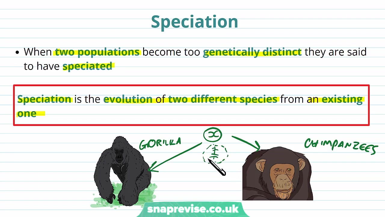 allopatric & sympatric speciation _ a-level biology _ ocr, aqa