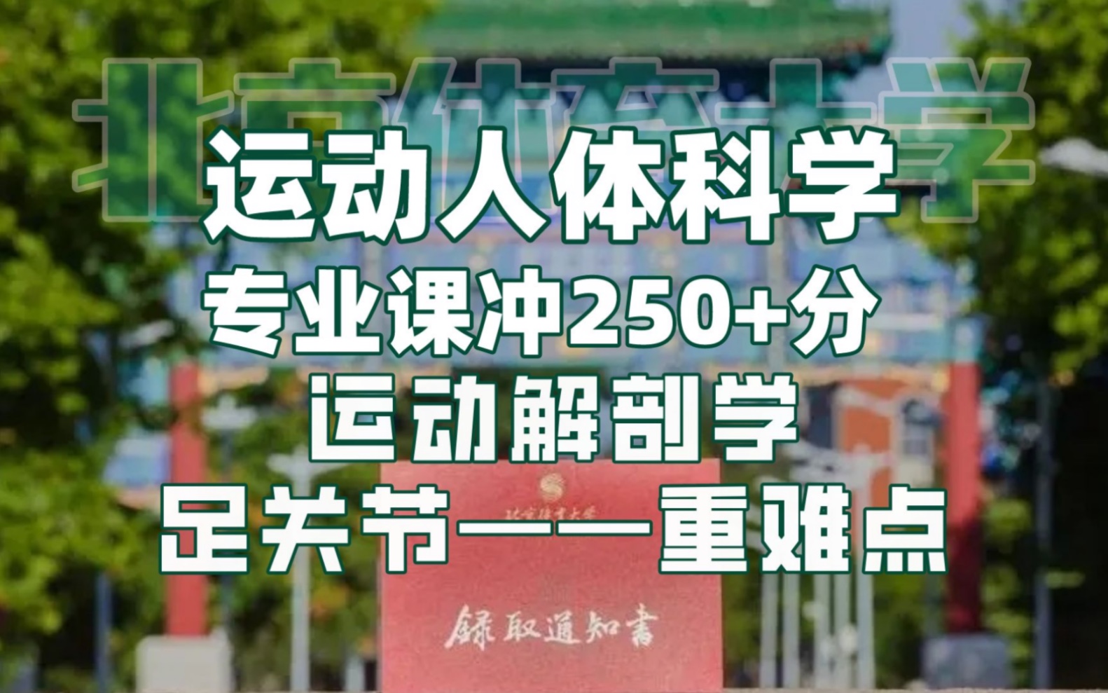 运动人体科学运动解剖学重难点I足关节I 体育考研知识点I北京体育大学哔哩哔哩bilibili