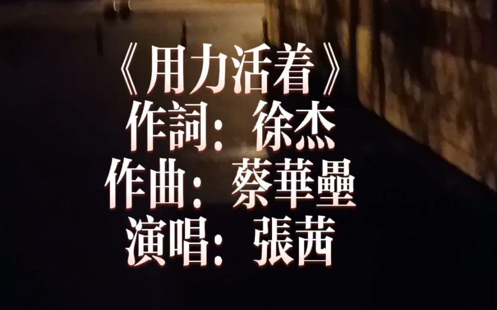 《用力活着》演唱:张茜