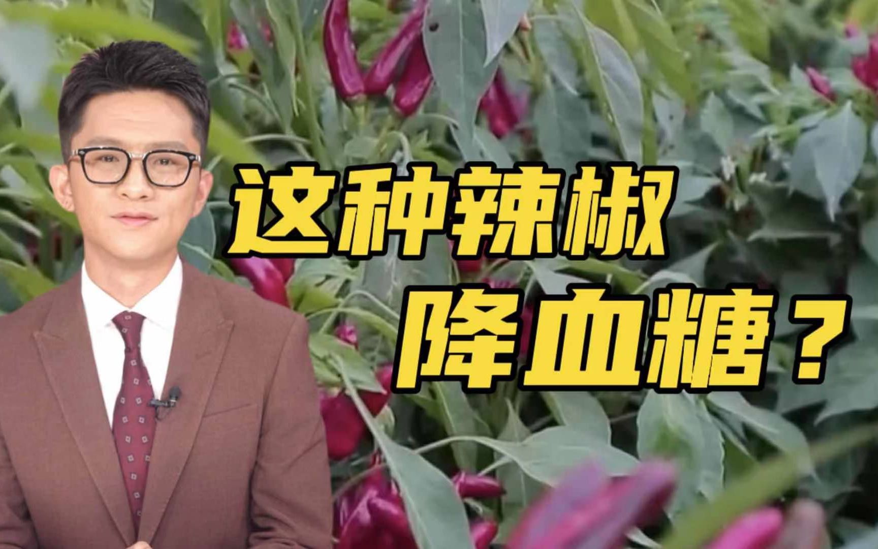 [图]谁说辣椒只能辣哭你？关于辣椒不得不说的事！