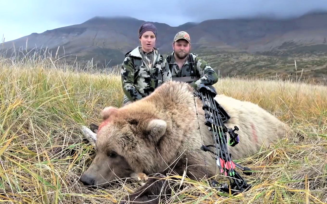 女猎人使用弓箭近距离捕猎阿拉斯加棕熊