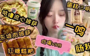 Download Video: 【封校vlog】女大学生快乐吃外卖的一天 | 网红怪兽咕噜流心披萨不拉丝 | 肠粉 | 红糖糍粑 | 一鸣 | 蛋糕三明治 |