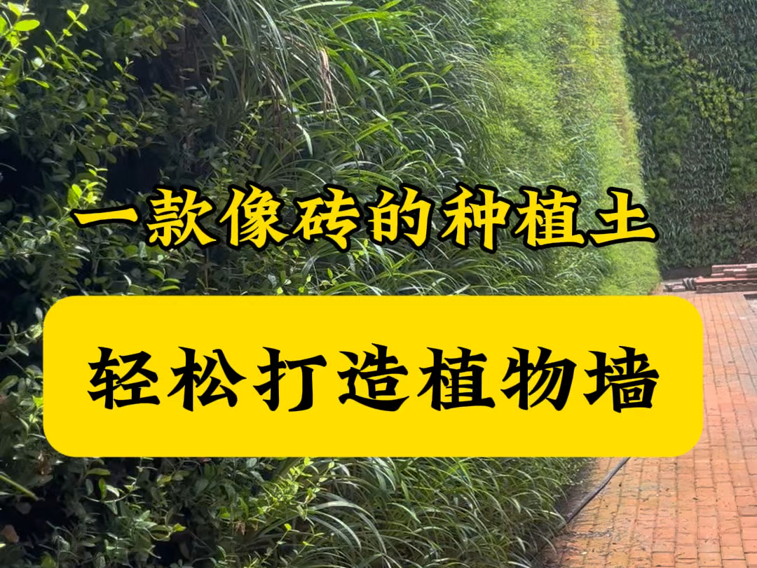 一款像瓷砖一样的种植土壤、用来打造垂直绿化简直不要太方便!#宏土 #垂直绿化 #植物墙 #城市绿化景观 #护坡工程哔哩哔哩bilibili