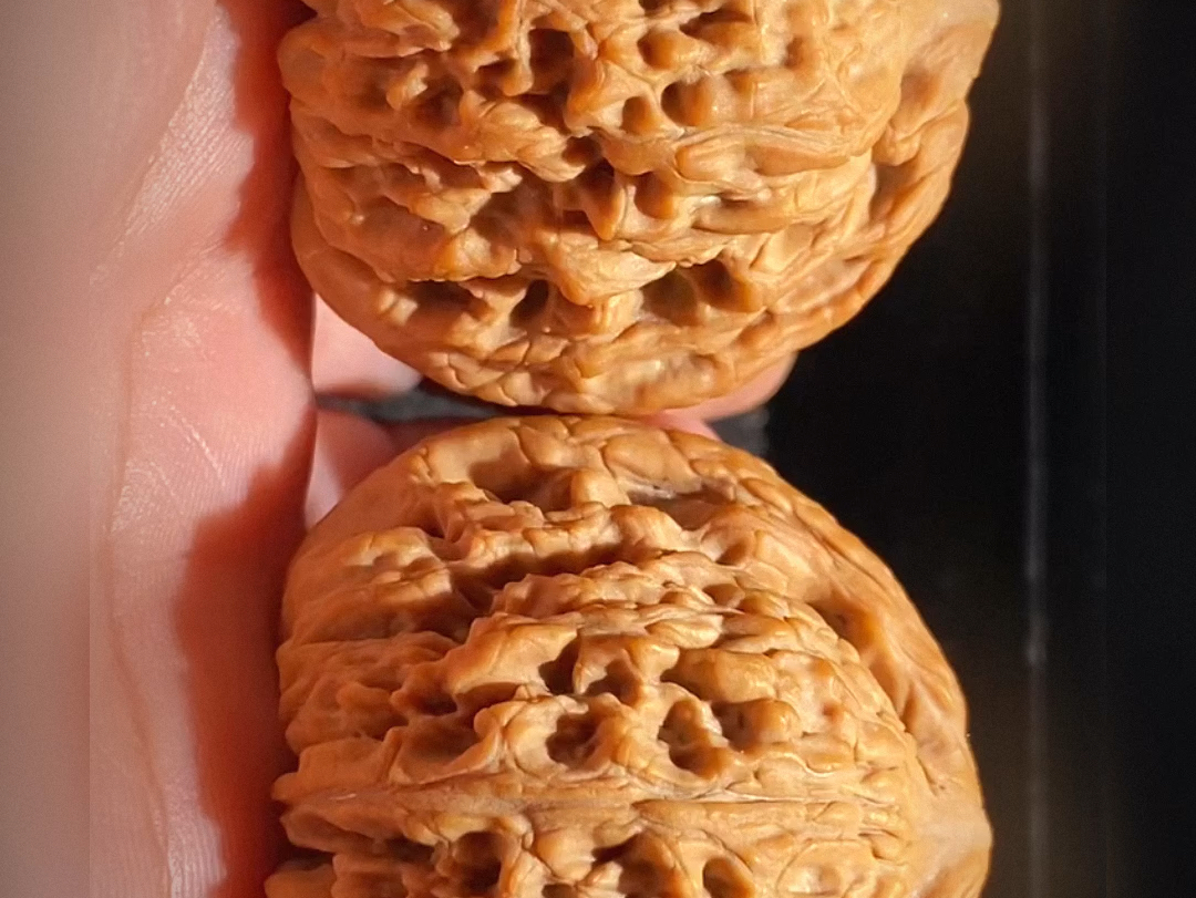 46逐鹿南疆石·全品·肚43高40,老树拉丝纹,6面绝配·#核桃届天花板