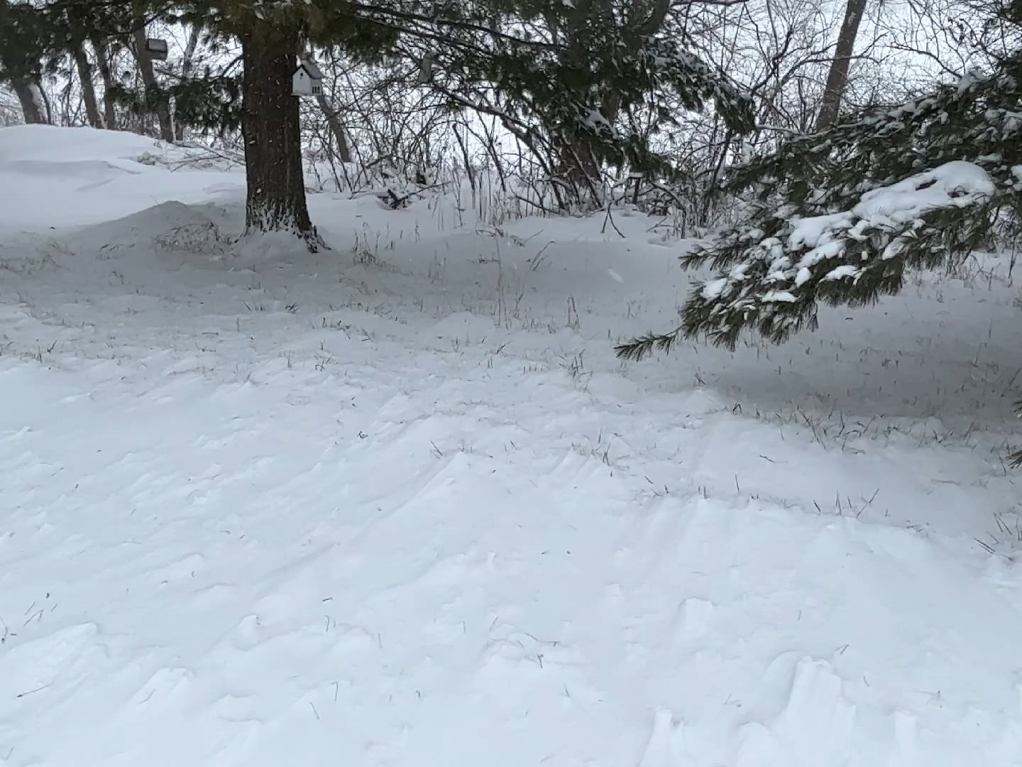 芬兰m39莫辛pov(暴风雪中重温)