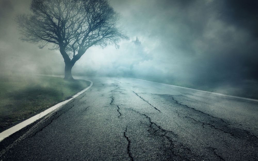 黎鸟报告 34 | 迷雾