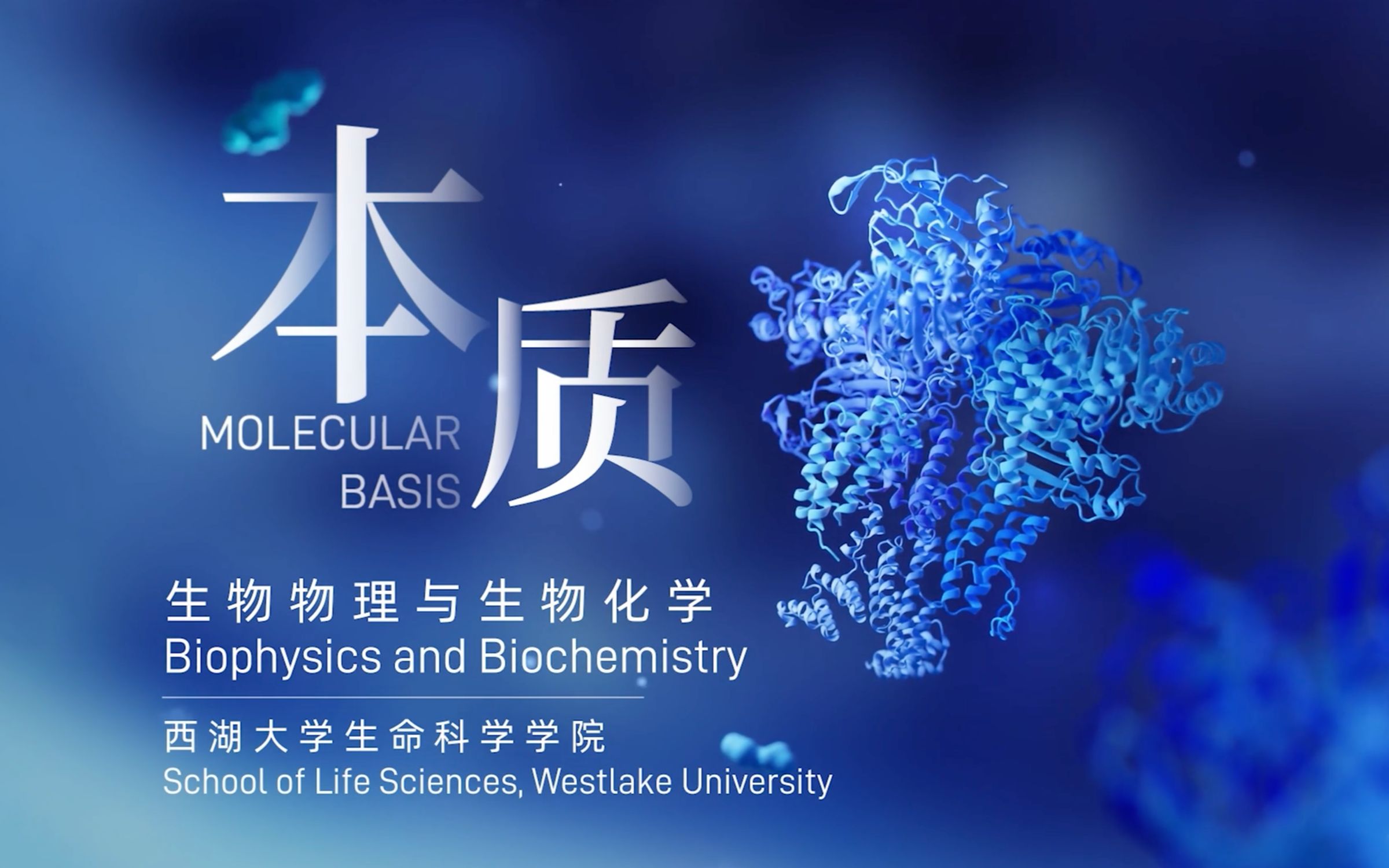 [图]本质｜西湖大学生命科学学院生物物理与生物化学Program宣传片