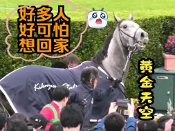 Download Video: 【黄金船产驹】颁奖仪式人多可怕想回家的黄金天空=コガネノソラ 妹妹