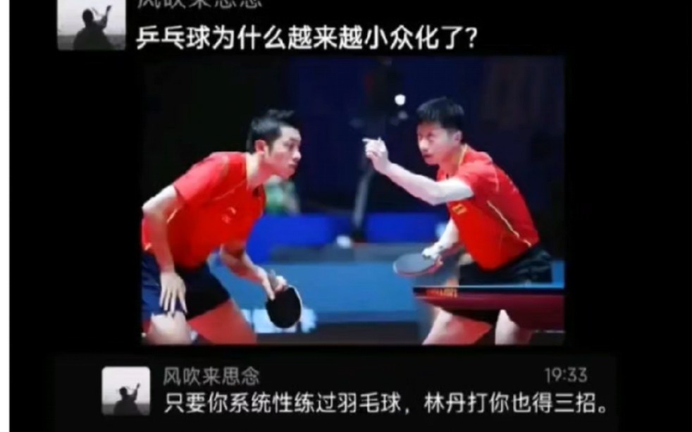 乒乓球为什么越来越小众化了?哔哩哔哩bilibili