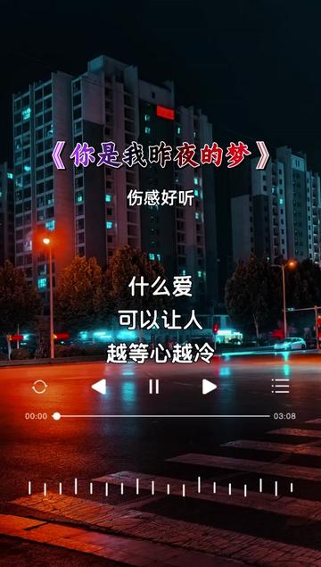 你是我昨夜的梦歌词