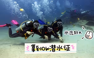 5个OW都毕业了……冲就行坐标：菲律宾PG海豚湾