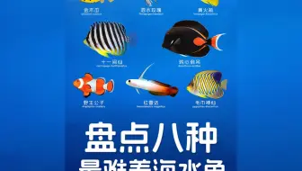 盘点八种最难养的鱼，十一间仙好养不？