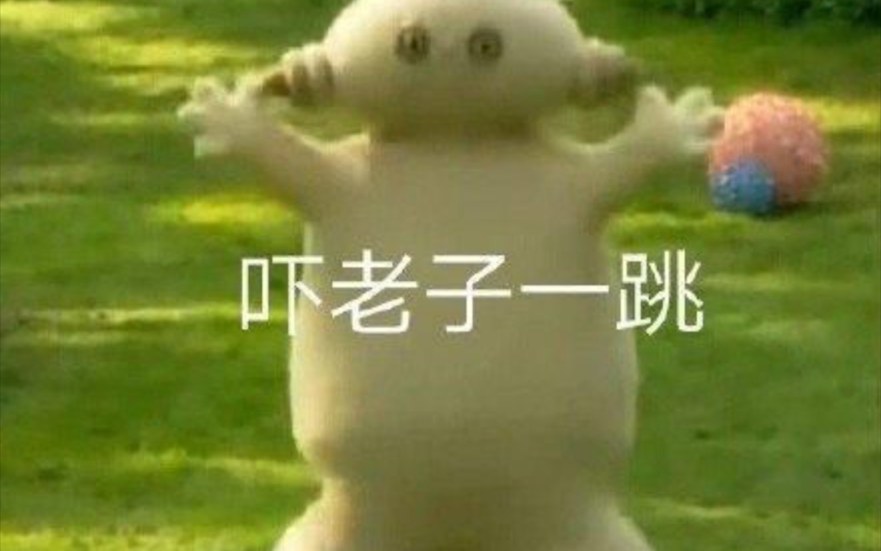 (花园粑粑)哔哩哔哩bilibili