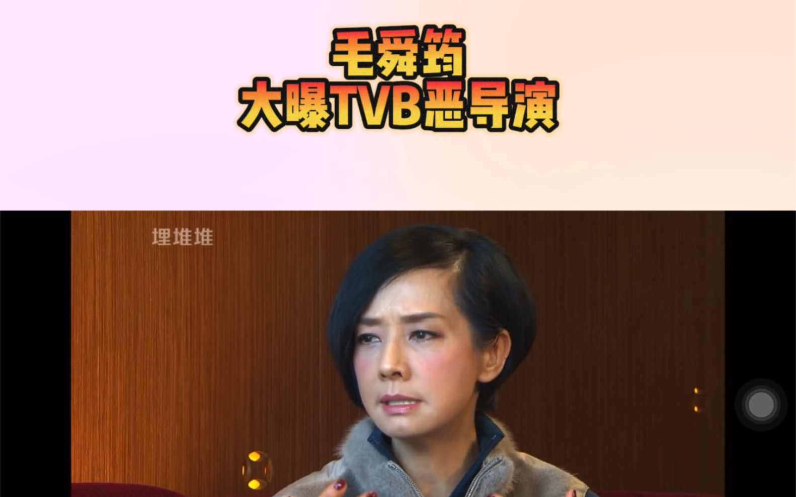 毛舜筠大曝TVB《毕打自己人》恶导演?罗镇岳?曾励珍?哔哩哔哩bilibili