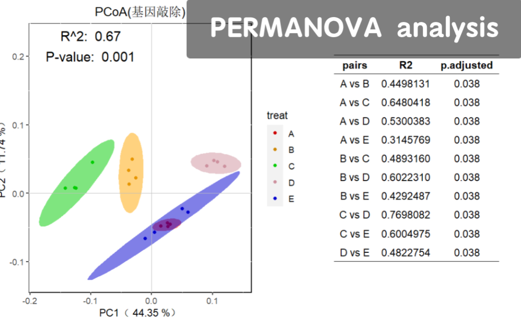 R语言保姆级教程/Permanova分析/PCoA NMDS PCA哔哩哔哩bilibili