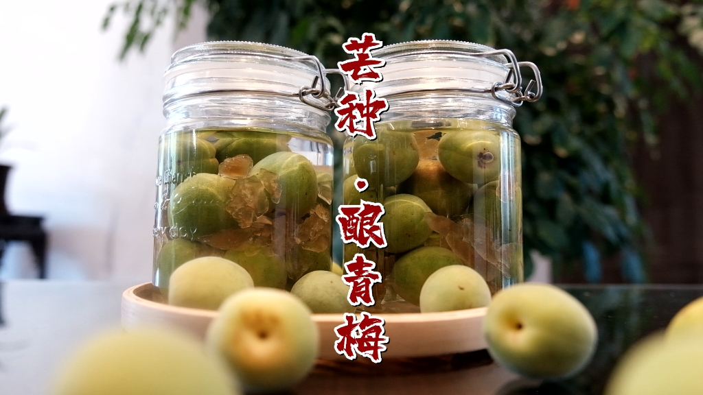 郎骑竹马来,绕床弄青梅～青青梅子雨中肥,芒种·酿青梅