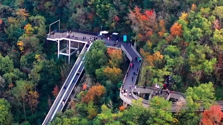 台州白云山绿道,市民可从云西公园乘电梯上行,或者走步行台阶上行到山