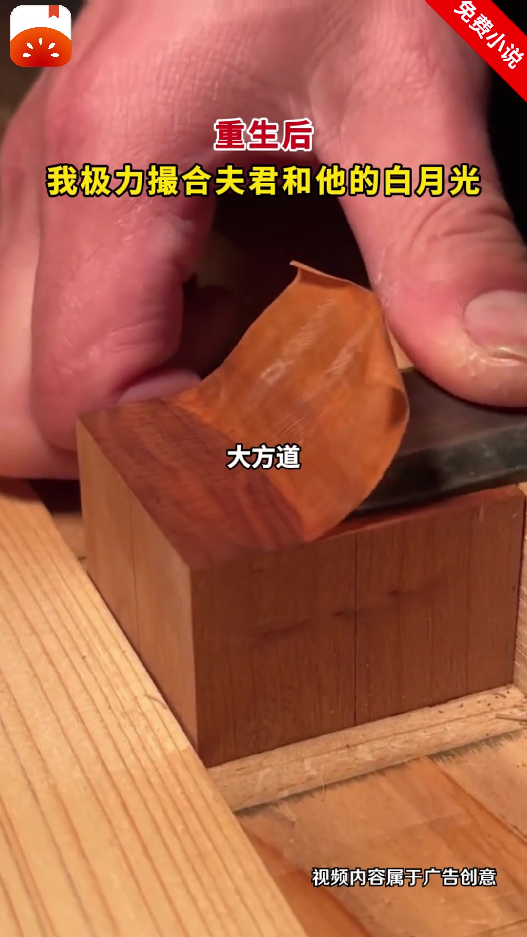 棒打鸳鸯的恶人主母,重生摆烂了-10