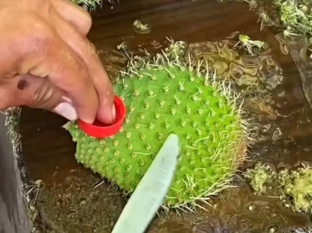 我花五百万买的学位房给女儿报名的时候才发现名额被占用了,我的户口名下多了个7岁的男孩,《神月占用》全文已完结一口气看完哔哩哔哩bilibili