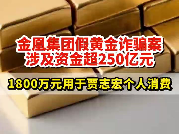 金凰集团假黄金诈骗!涉案资金超250亿哔哩哔哩bilibili