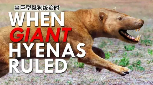 当巨型鬣狗统治时