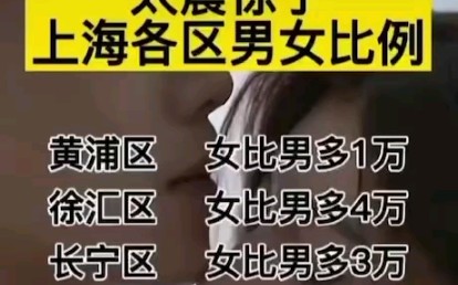 上海各区男女比例哔哩哔哩bilibili