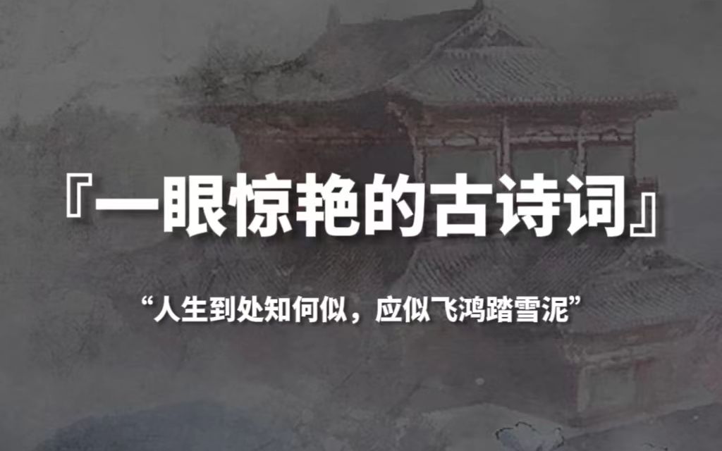 【句子控】“人生到处知何似,应似飞鸿踏雪泥”,那些一眼惊艳的古诗词哔哩哔哩bilibili