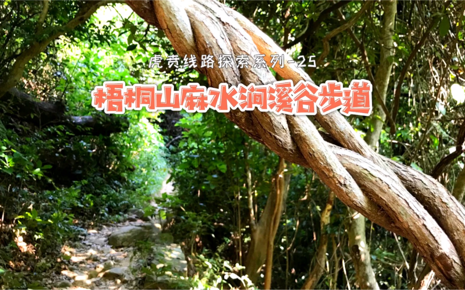 [图]虎贲线路探索-25: 梧桐山麻水涧溪谷步道