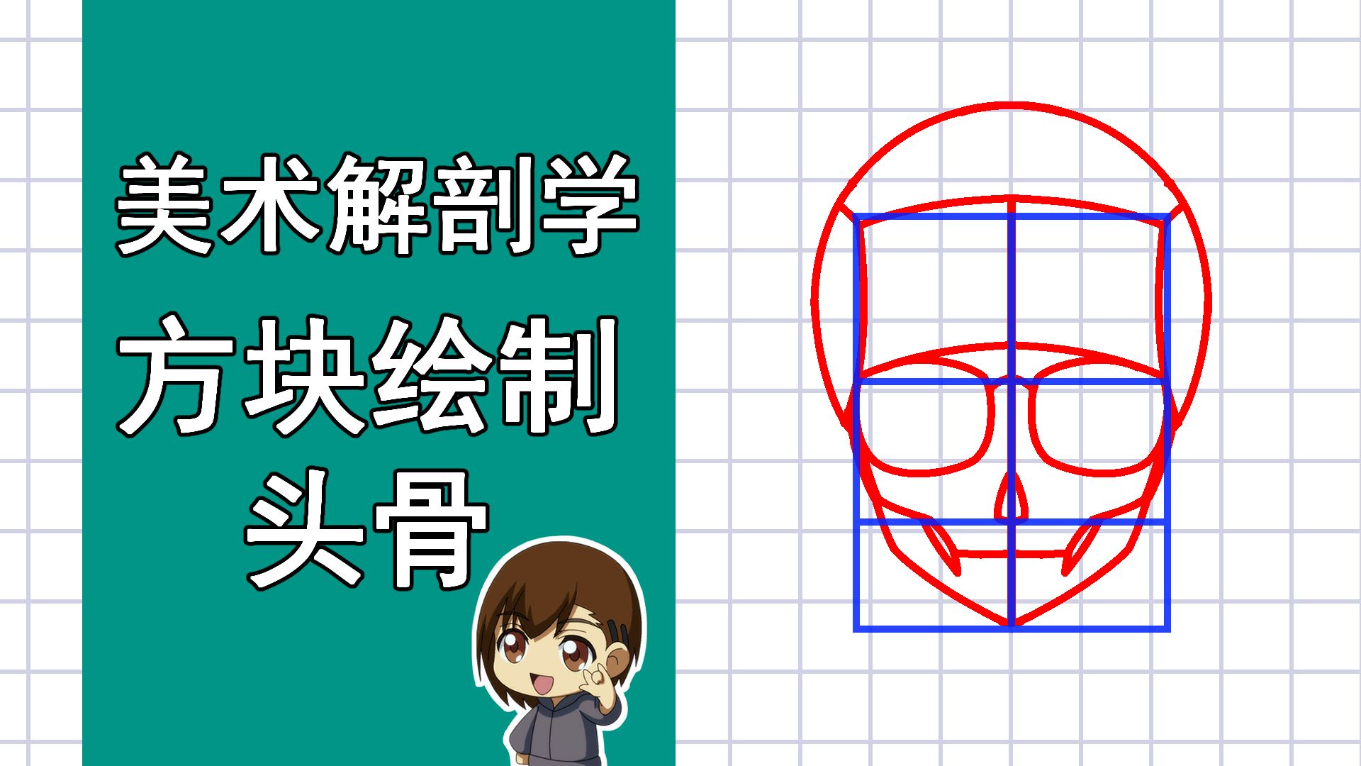 美术解剖学-13-方块绘制头骨