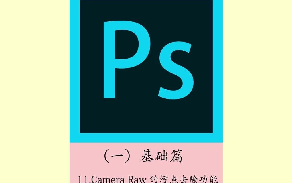 PS教程 基础篇 第十一课Camera Raw的污点去除功能哔哩哔哩bilibili