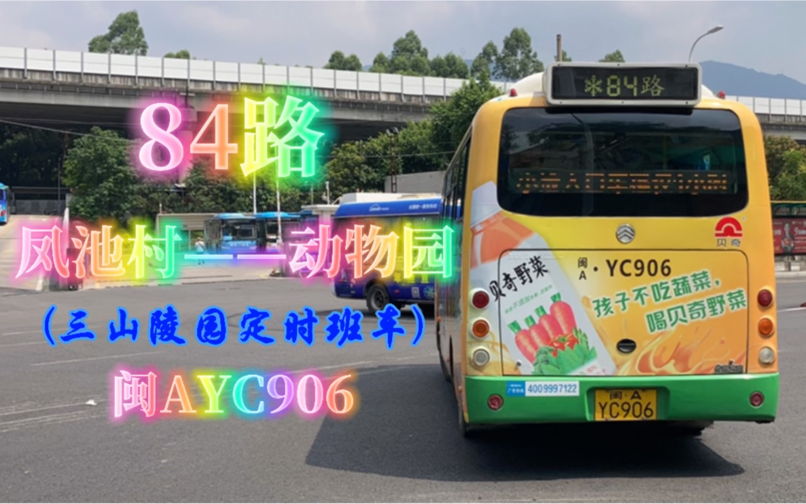 【上湖】【凤池村/三山陵园定时班车】福州公交集团84路POV[NO.68]哔哩哔哩bilibili