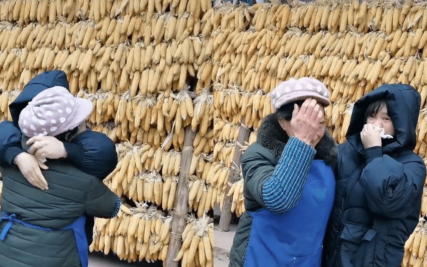 [图]云南女子远嫁回家，到家半小时父母未认出，妈妈反应让人泪崩