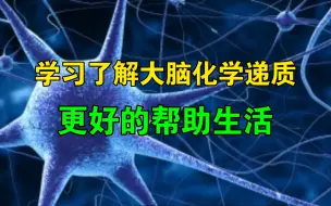 【脑科学】情绪相关的化学递质主要功能及作用原理。