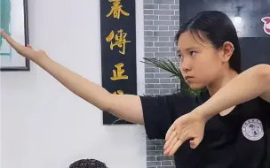 Tải video: 咏春基本手法