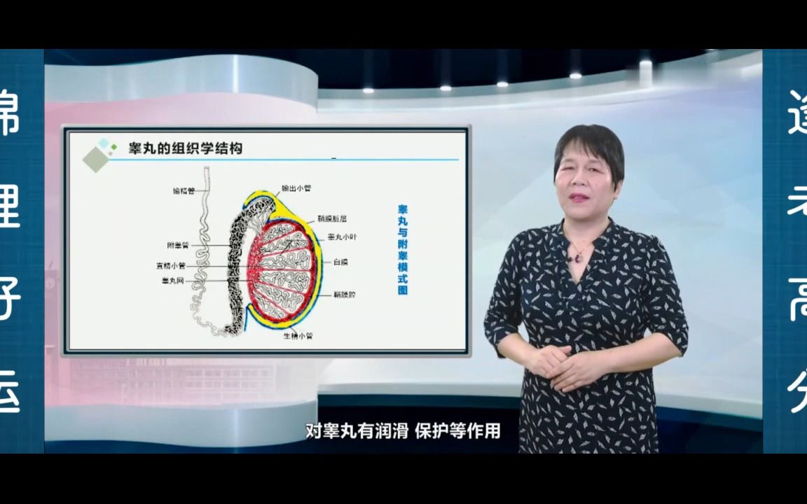 [12.1"精精"的由来