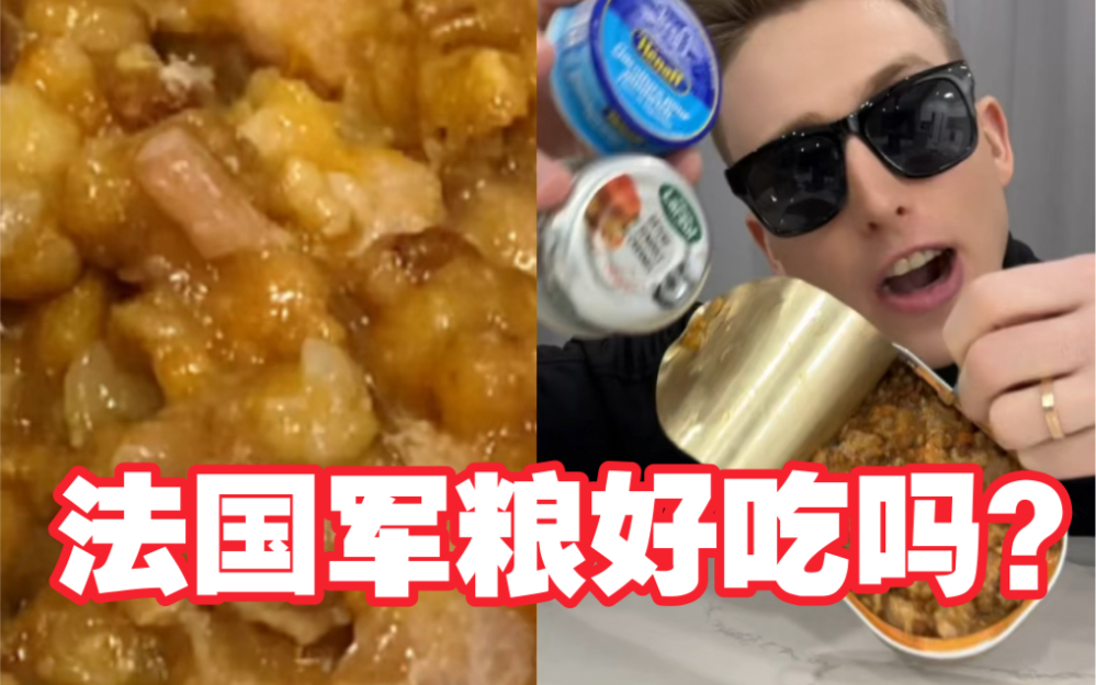 老外测评法国军粮!好吃吗?结果和你想的一样吗??哔哩哔哩bilibili