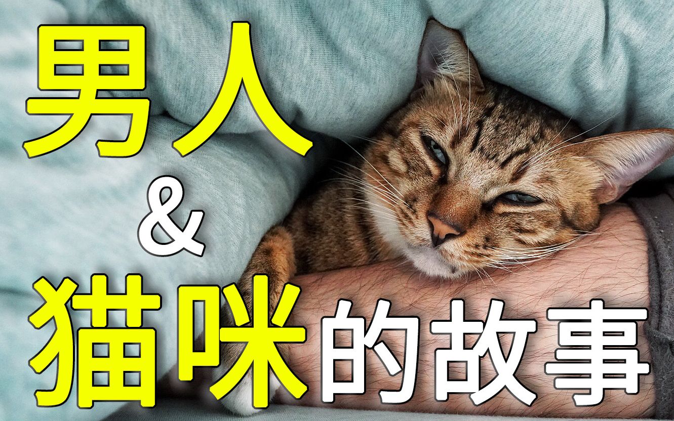 [图]广东降温了，猫咪躲在被窝里抱紧男主人，像极了......