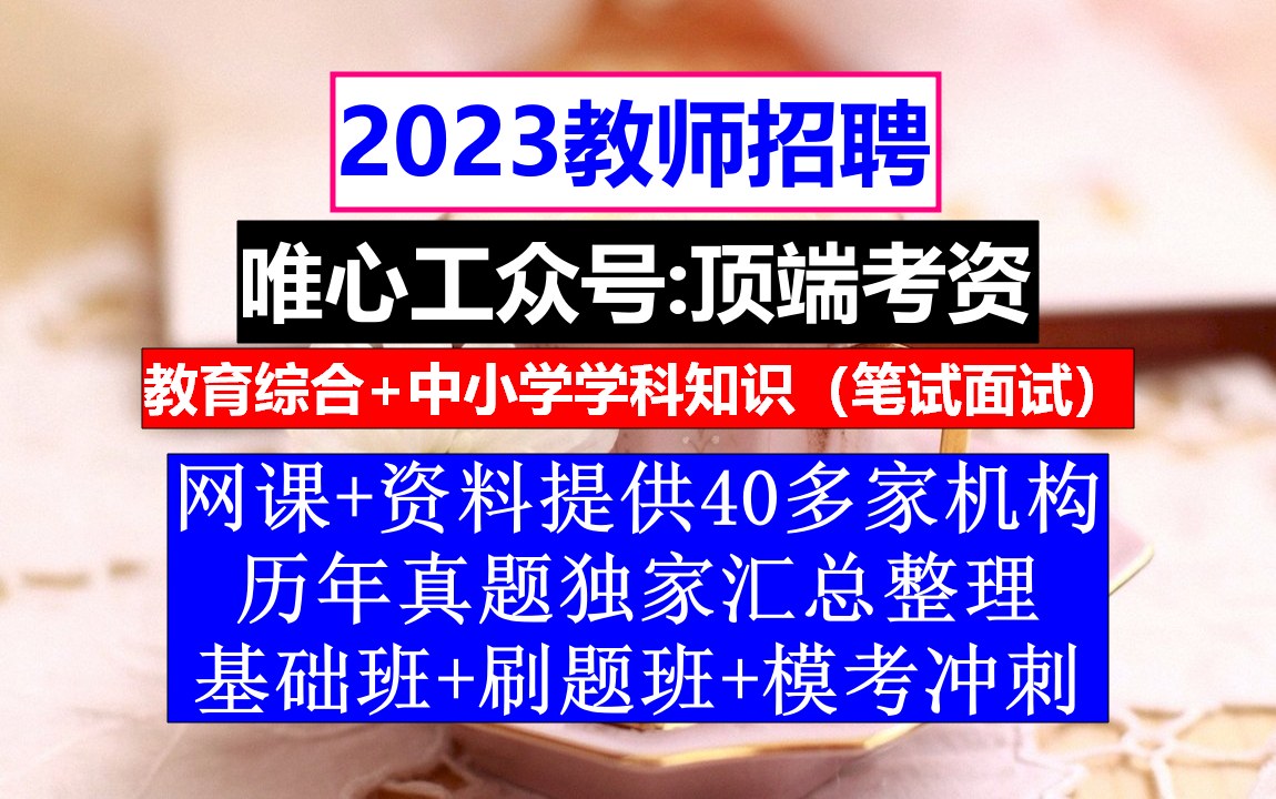 教师招聘小初高美术,教师招聘官网报名,教师招聘岗位表哔哩哔哩bilibili