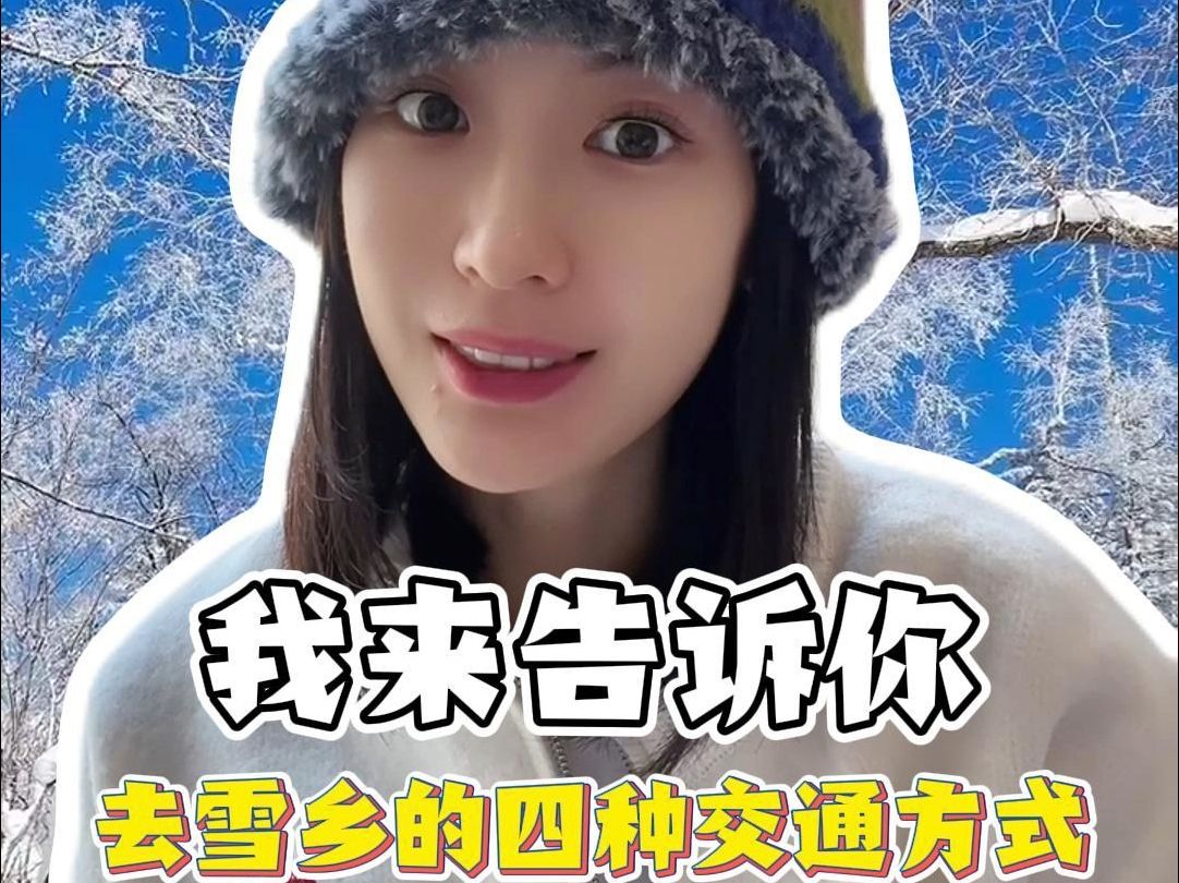 千千告诉你,去雪乡的四种交通方式!哔哩哔哩bilibili