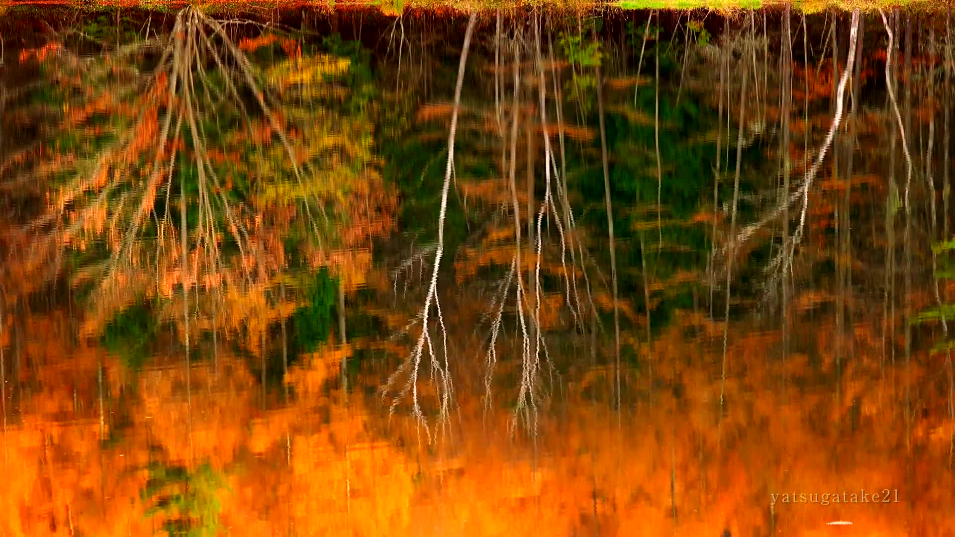 [图]【最美日本红叶】日本御射鹿池-秋天红叶Japan Mishaka pond of autumn