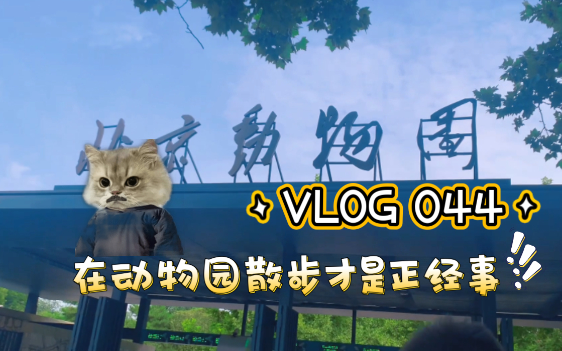 [图]VLOG 044｜在动物园散步才是正经事