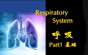 呼吸系统 PART 1: Scientific Basis of Lung Function（肺功能的基础）