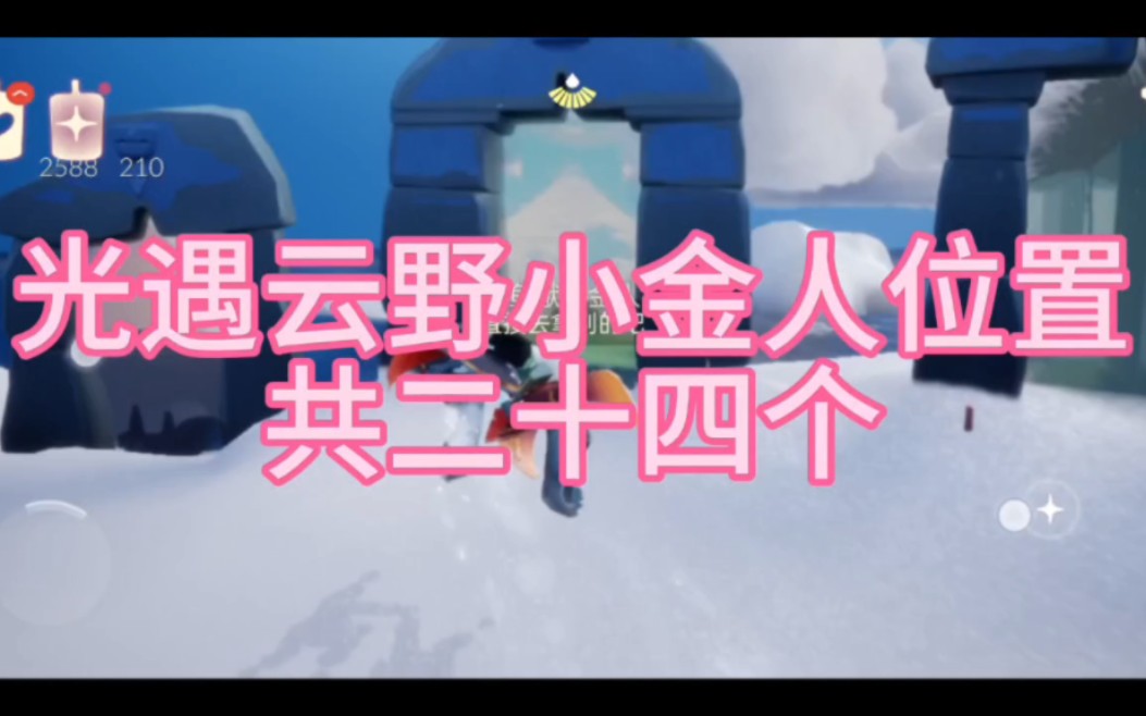 光遇最新云野小金人位置共24个